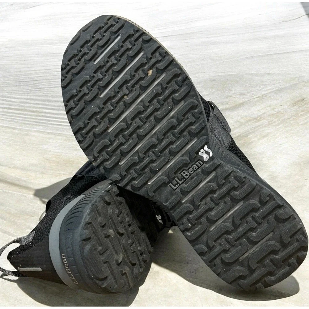L.L. Bean bean dirigo